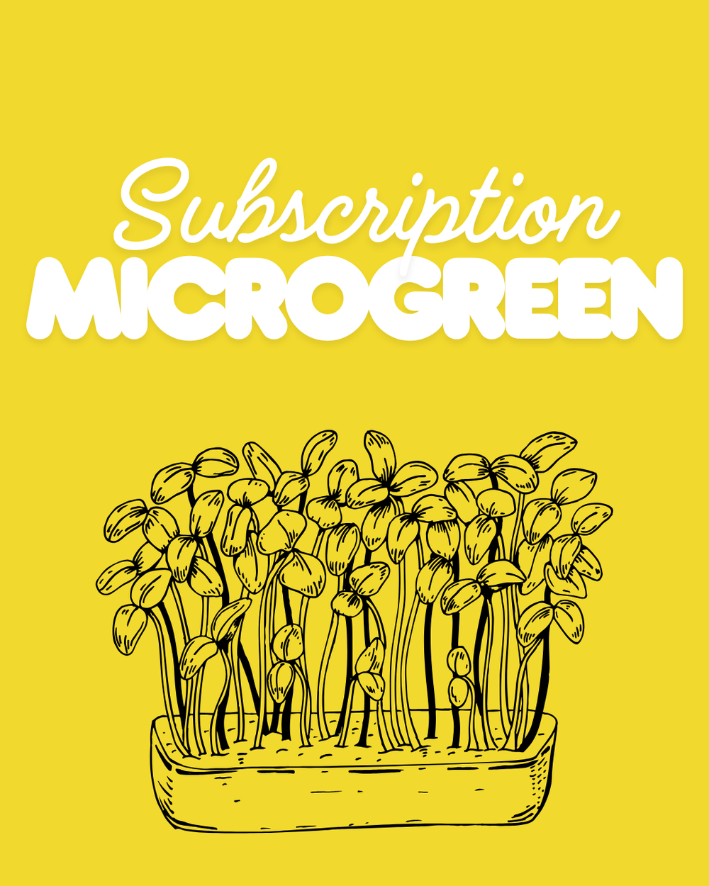 Microgeen Subscription
